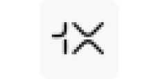 1X