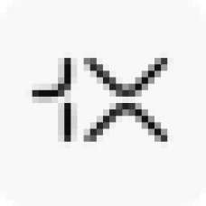 1X