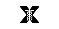 X-ray Interpreter