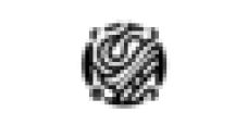 ScriptMind