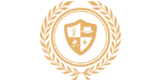 IP Agent AI
