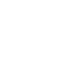 AI Chat