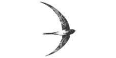 Core
