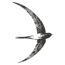 Core