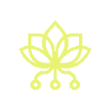 Pollinations.ai