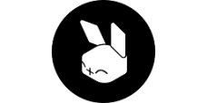 rabbit r1