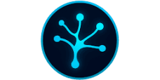 SynapseTutor
