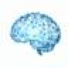 AI photo organizer