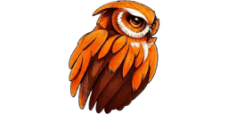 Owlift