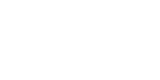 Verve AI
